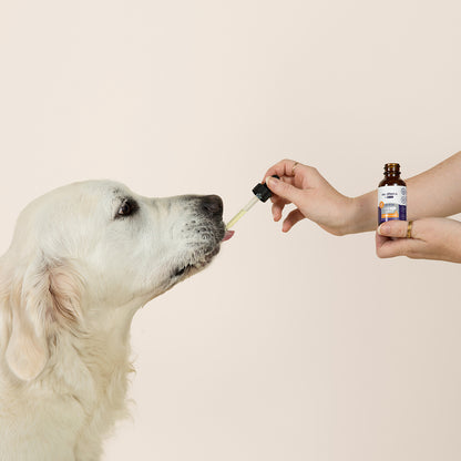 Daily Relief Pet Tincture
