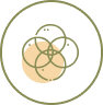 An abstract design featuring an arrangement of overlapping olive-green and beige circles, set inside a larger olive-green circle on a transparent background. The circles intersect to form a pattern in the center, reminiscent of Medterra's commitment to using the highest quality pure ingredients.