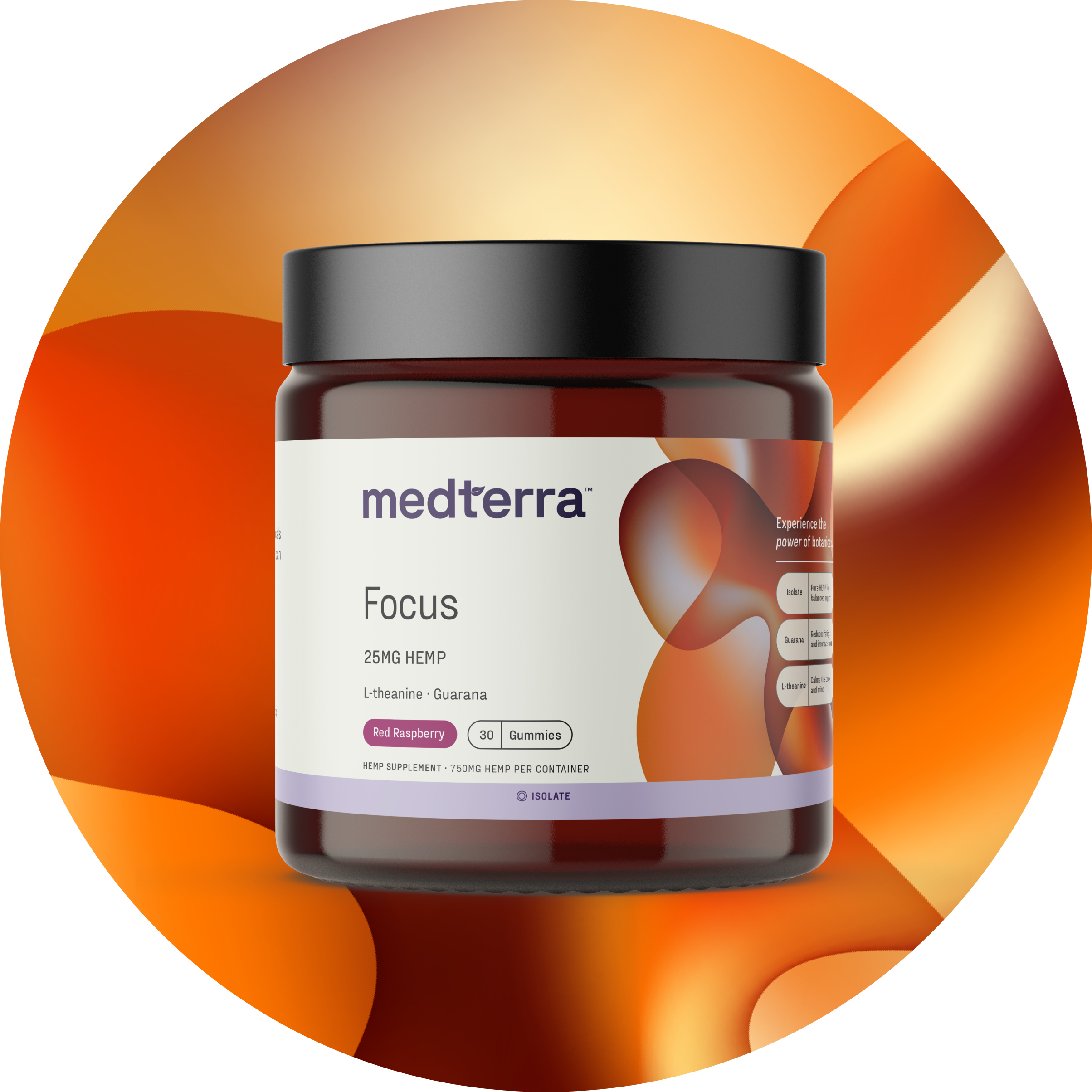 Close-up front view of Medterra Focus gummies jar showing label Focus 25 mg hemp and Red Raspberry 30 gummies with orange gradient background