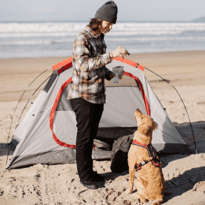 Person in beanie feeding treat to golden retriever in harness beside gray-red tent on sandy beach.