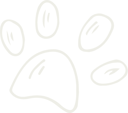 Stylized cream paw print with four oval toe pads and a large heel pad, hand-drawn outline on dark background